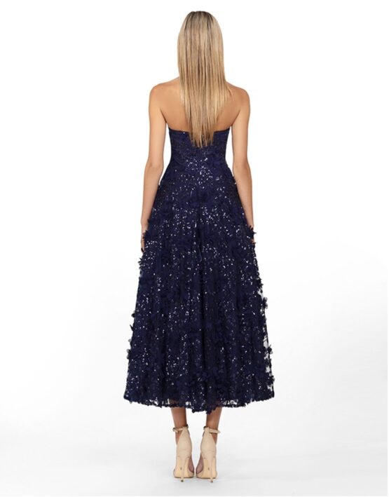 B41D01 NAVY BACK