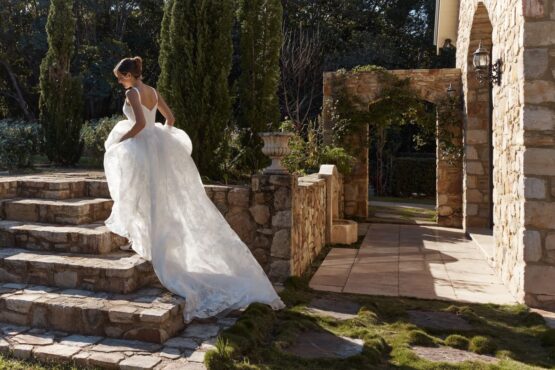 Annabelle TC2603 | Darline Collection | Banner | Tania Olsen Bridal