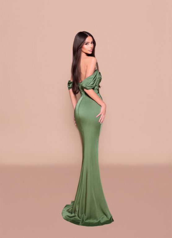 NBM3030-BASIL-2 NBM3030-BASIL-2